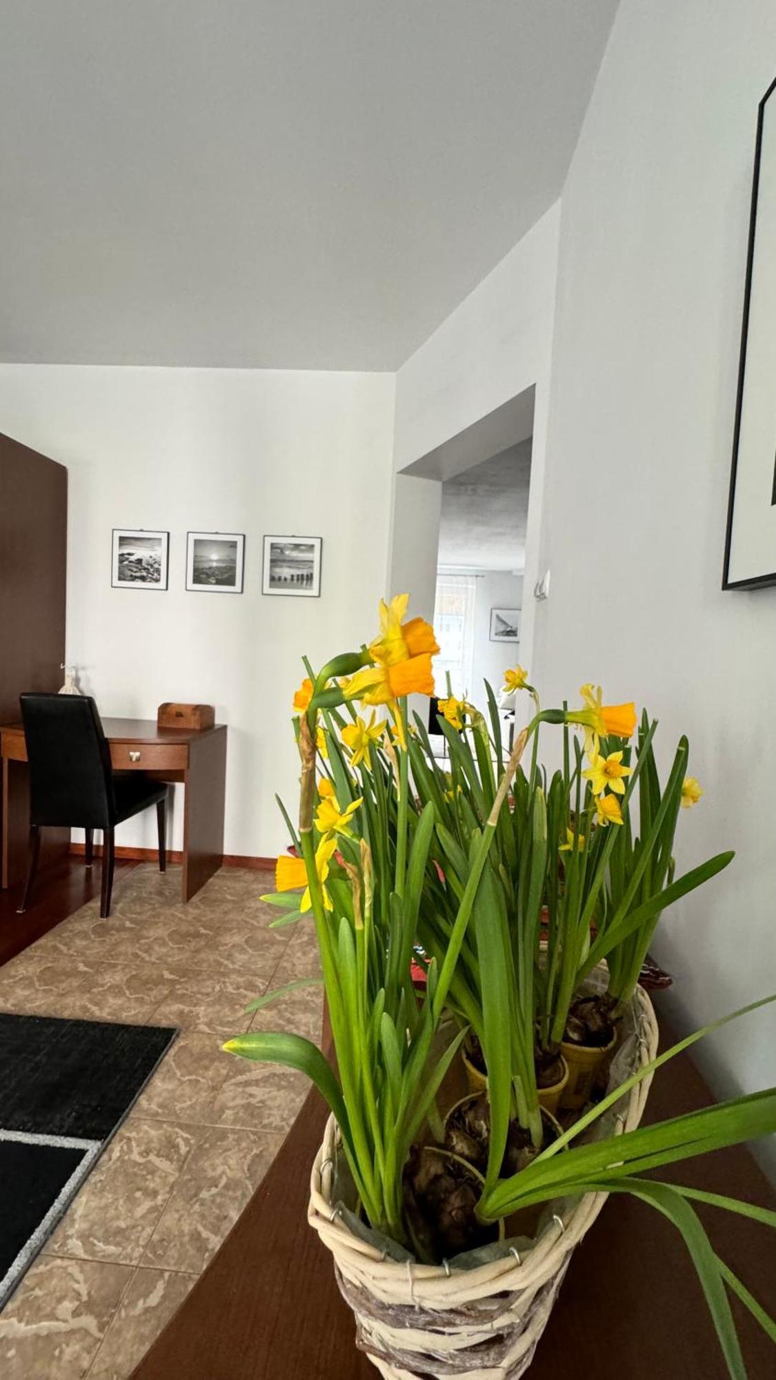 קולובז'ג Apartament Rodzinny מראה חיצוני תמונה