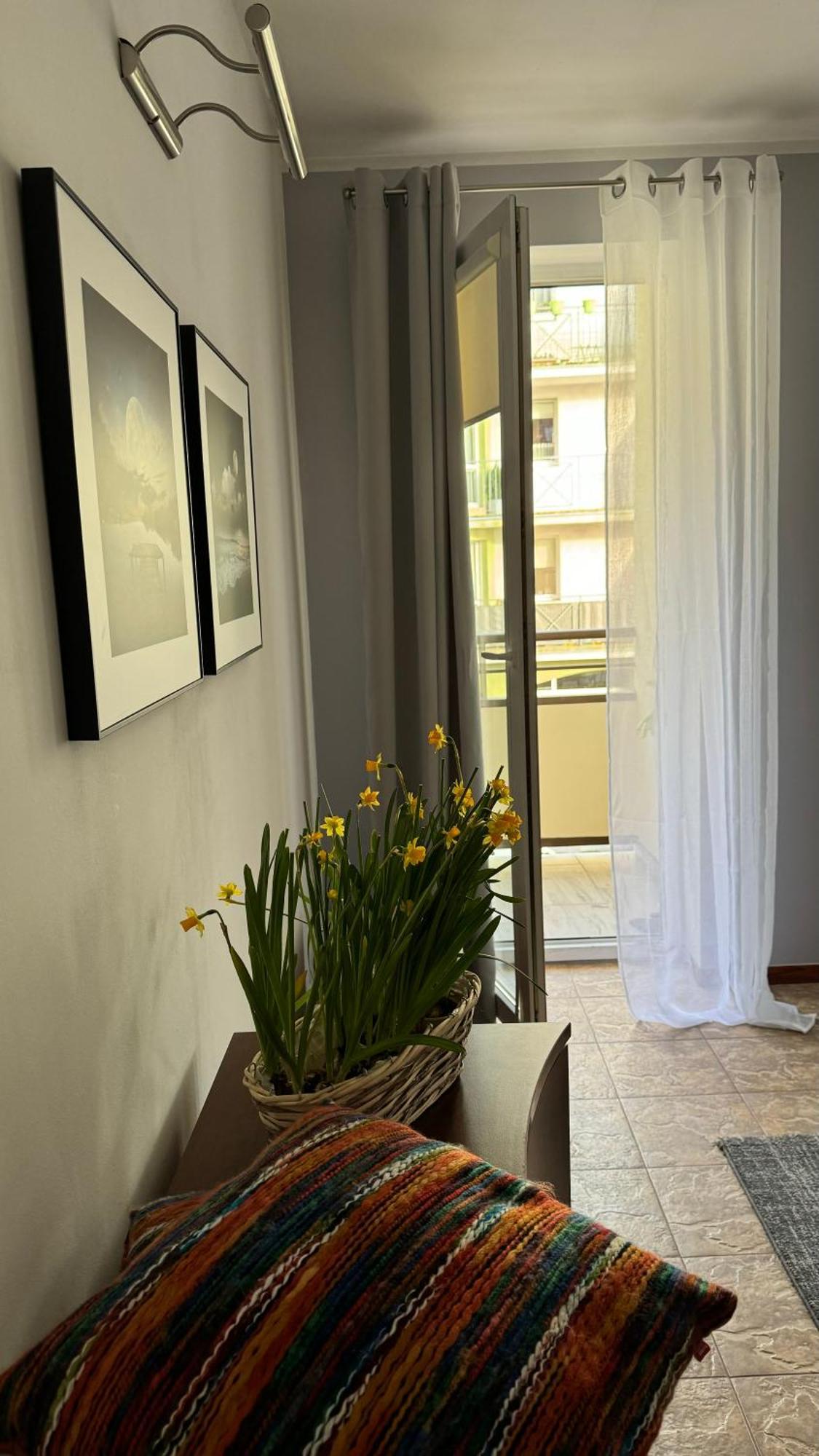 קולובז'ג Apartament Rodzinny מראה חיצוני תמונה