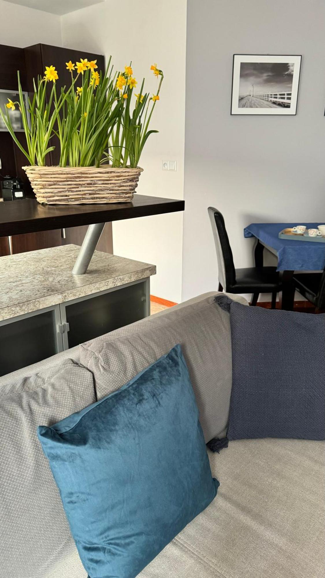 קולובז'ג Apartament Rodzinny מראה חיצוני תמונה